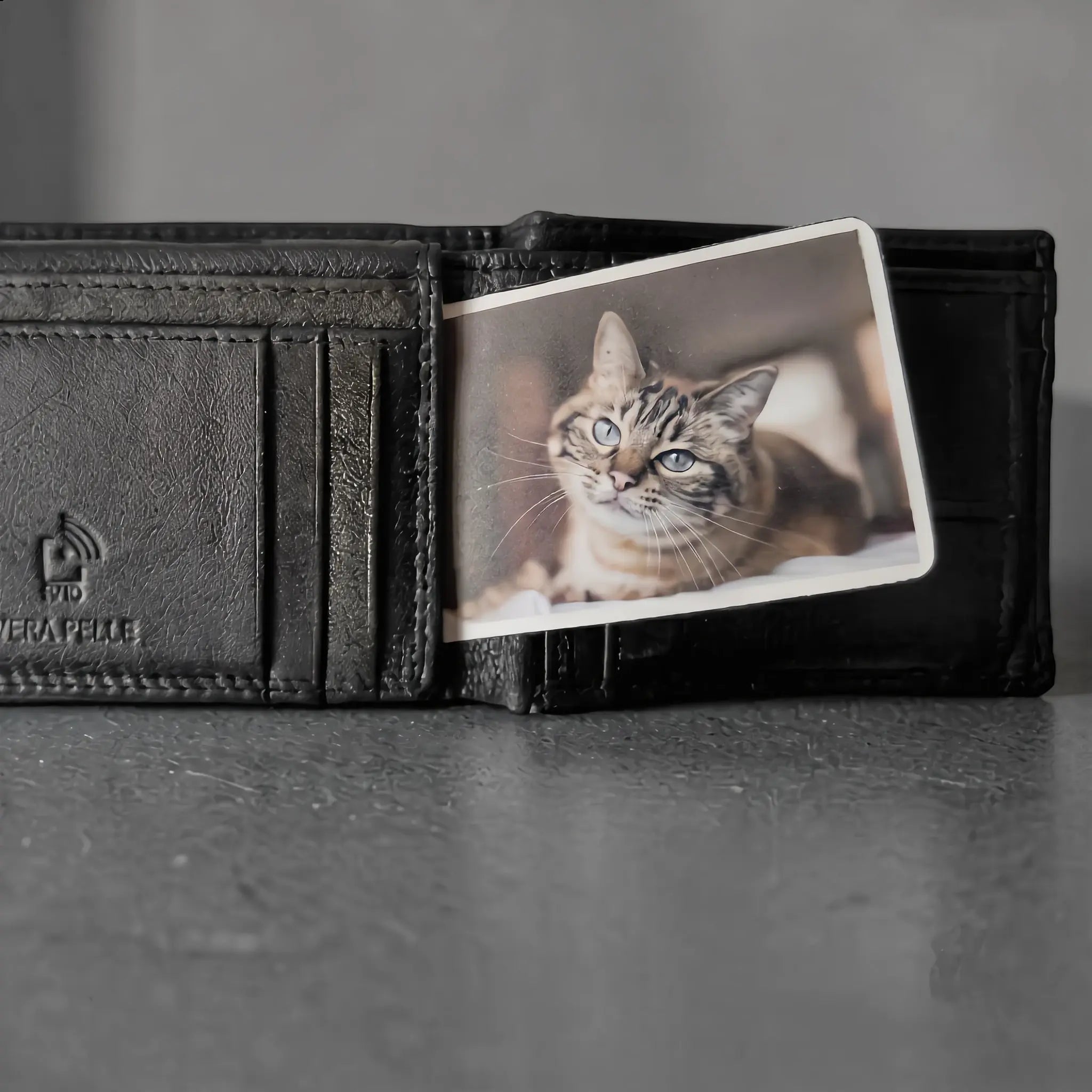 Crea il Santino Personalizzato per il tuo Animale Domestico - AniQuadro